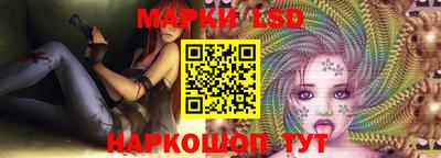 крисы Аргун