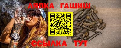 крисы Аргун