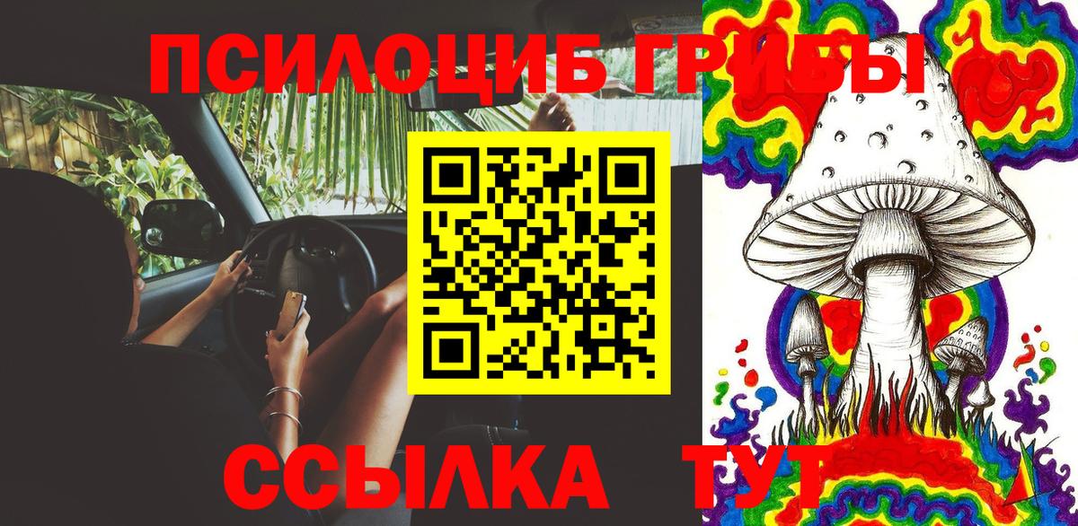 Березники  Галлюциногенные грибы Cubensis  Вход с VPN 